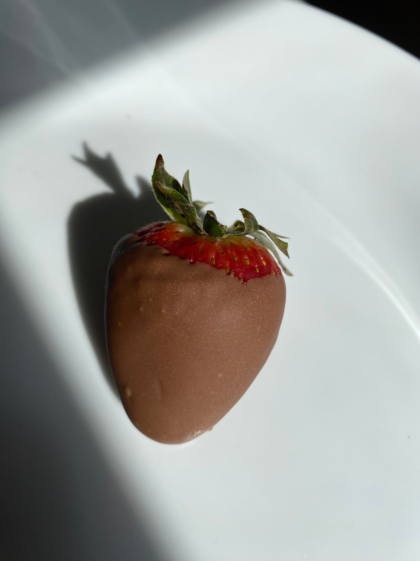 Chocolate Strawberry